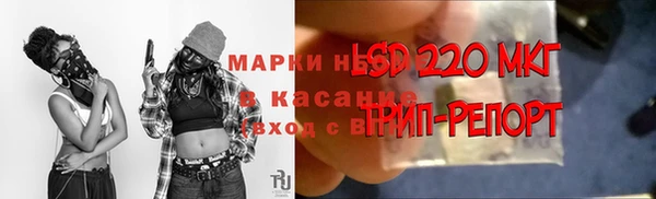 прущие грибы Алзамай