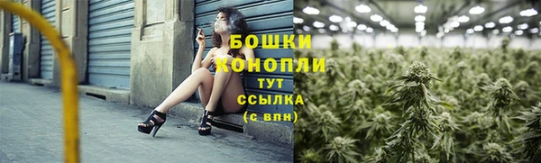прущие грибы Алзамай