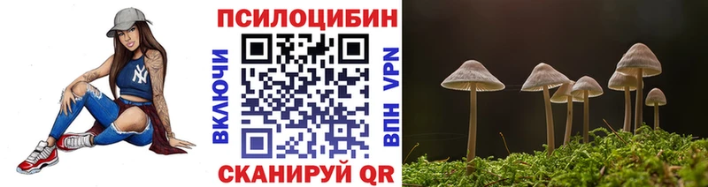 Галлюциногенные грибы Cubensis Нелидово