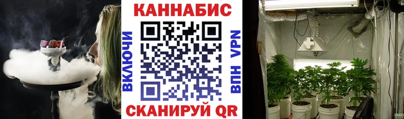 Каннабис SATIVA & INDICA  купить наркотики цена  Нелидово 